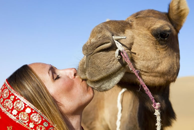 Lady Kissing camel in pushkar