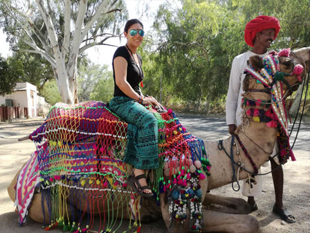 Decorated Camel in Pushkar Fair Rajasthan