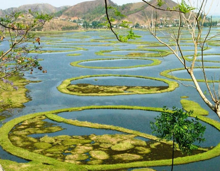 Loktak Lake, Manipur