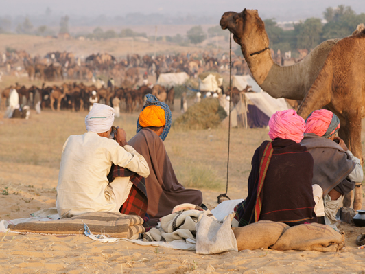pushkar fair, Rajasthan