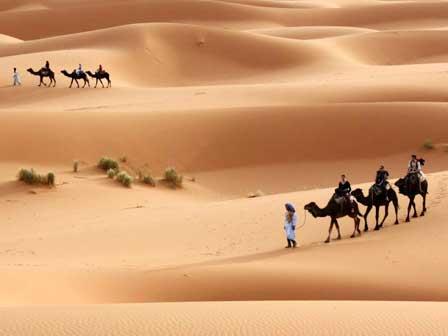 Thar Desert Rajasthan