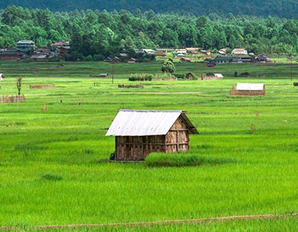 ziro arunachal pradesh