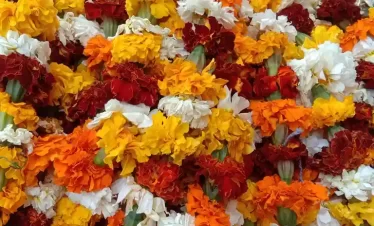 Magical Kashmir Tour Package